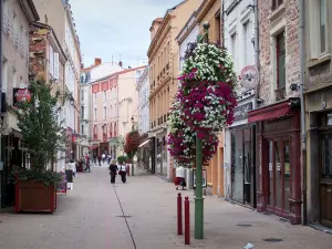 Roanne - Rue commerçante fleurie (fleurs) bordée de maisons et de magasins