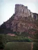 Roca de Solutré - Campo de vides (viñas de Borgoña), al pie del acantilado de piedra caliza (peñasco)