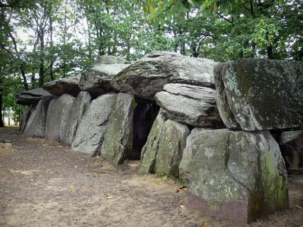 La Roche-aux-Fées - Dolmen in Essé