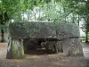 La Roche-aux-Fées - Dolmen (megalithische monument: overdekte doorgang) naar Esse