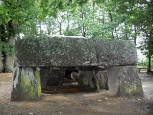 La Roche-aux-Fées - Dolmen (monumento megalitico: sottopassaggio) a Esse