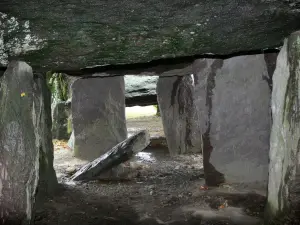 La Roche-aux-Fées - Dolmen (monument mégalithique : allée couverte), à Essé