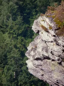Roche d'Oëtre - Suisse normande : roche d'Oëtre (belvédère naturel), sur la commune de Saint-Philbert-sur-Orne