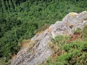 Roche d'Oëtre - Suisse normande : vue sur le précipice depuis la roche d'Oëtre (belvédère naturel), sur la commune de Saint-Philbert-sur-Orne