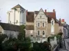 La Roche-Posay - Station thermale : donjon et maisons