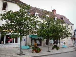 La Roche-Posay - Kurort: Häuser, Bäume, Sitzbänke, Blumen in Blumentöpfen