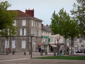 La Roche-sur-Yon - Alberi al posto di Napoleone, negozi e case della città