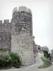 Rochemaure - Turm Bise