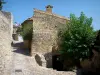 La Roque-sur-Cèze - Las calles empedradas bordeadas de casas de piedra