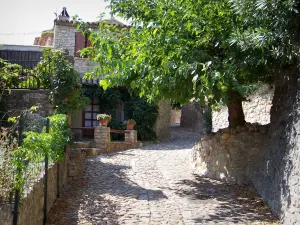 La Roque-sur-Cèze - Inclinato strada acciottolata, casa in pietra e l'albero