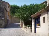 La Roque-sur-Cèze - Ruelle pavée en pente bordée de maisons et d'arbres