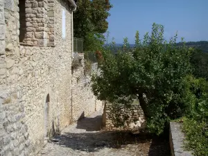 La Roque-sur-Cèze - Façade d'une maison en pierre et arbres