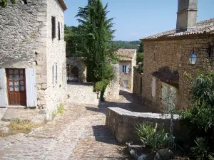 La Roque-sur-Cèze - Inclinato strada lastricata fiancheggiata da case in pietra