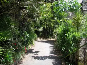 La Roque-Gageac - Narrow street lined with tropical vegetation, in the Dordogne valley, in Périgord