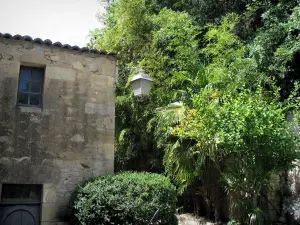 La Roque-Gageac - Fachada de una casa de la vegetación, farola y tropical, en el valle de la Dordogne, en Périgord