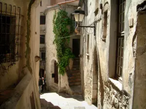 Roquebrune-Cap-Martin - Narrow street and houses