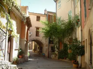 Roquebrune-Cap-Martin - Street decorated with houses with colourful facades, but also hall, creepers and jars