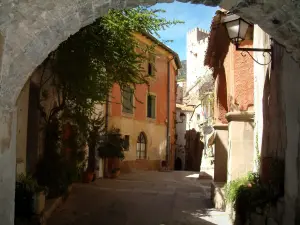 Roquebrune-Cap-Martin - Alley en de huizen met kleurrijke gevels, klimplanten, en houd op de achtergrond