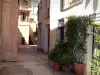 Roquebrune-Cap-Martin - Narrow street and houses decorated with plants