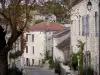 Roquecor - Abschüssige Strasse, Baum und Häuserfront des Dorfes; im Quercy Blanc