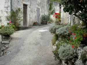Roquecor - Ruelle bordée de maisons, de fleurs et de plantes