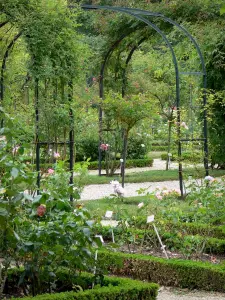 Rosengarten des Val-de-Marne - Rosengarten