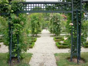 Rosengarten des Val-de-Marne - Rosengartenallee