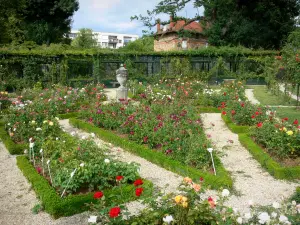 Rosengarten des Val-de-Marne - Vintage Rosenkollektion