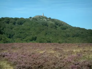 Rots van Montalet - Vegetatie, struiken en het standbeeld van de Maagd (Parc Naturel Regional du Haut-Languedoc)