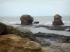 De rotskam van de Vendée - Rotsen en de zee (Atlantische Oceaan), Saint-Hilaire-de-Laugh (Zion-on-the Oceaan)