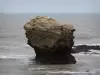 De rotskam van de Vendée - Rock en zee (Atlantische Oceaan), Saint-Hilaire-de-Laugh (Zion-on-the Oceaan)