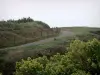 De rotskam van de Vendée - Trail Ridge omzoomd grasland en vegetatie