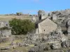 De rotspartij Chaos de Nîmes-le-Vieux - Gids voor toerisme, vakantie & weekend in de Lozère