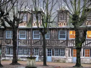 Rouen - Aître Saint-Maclou : cour intérieure, arbres, calvaire et bâtiment à pans de bois