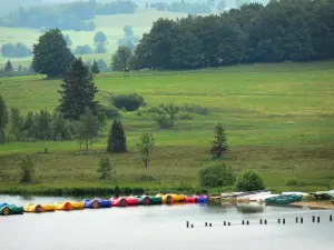 Les Rousses - Lac des Rousses avec des pédalos, alpages (pâturages) et arbres ; dans le Parc Naturel Régional du Haut-Jura