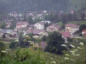 Les Rousses - Fleurs sauvages en premier plan, chalets, maisons et arbres