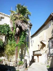 Rousset-les-Vignes - Fassaden der Häuser im mittelalterlichen Dorf