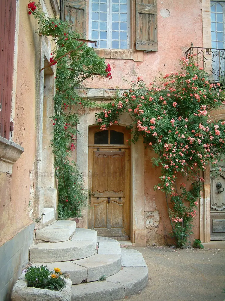 Roussillon - Maison de couleur ocre ornée de rosiers et de fleurs