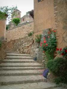 Roussillon - Ruelle en escalier avec une maison ornée de rosiers, de plantes et de fleurs, beffroi (tour) en arrière-plan
