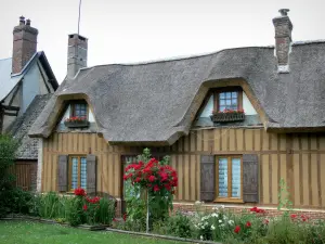 Route des Chaumières - Maison à colombages au toit de chaume, et son jardin agrémenté de fleurs ; à Vieux-Port, dans le Parc Naturel Régional des Boucles de la Seine Normande