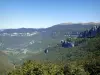 Route du col de la Bataille - Parc Naturel Régional du Vercors : panorama sur les montagnes recouvertes d'arbres