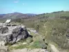 Rovine del castello di Rochebloine - Sito Rochebloine completa di un tavolo di interpretazione del paesaggio, la vegetazione e il percorso delimitato