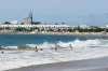 Royan - Plage de la Grande Conche (© Office de Tourisme - M. Chaigneau)