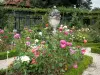 Rozentuin van Val-de-Marne - Bloeiende rozen