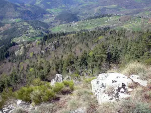 Ruinen des Schlosses von Rochebloine - Grüne Landschaft, Sicht von der Stätte Rochebloine aus