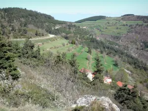 Ruinen des Schlosses von Rochebloine - Blick auf die Strasse, die zu dem Dorf Nozières geht, von der Stätte Rochebloine aus