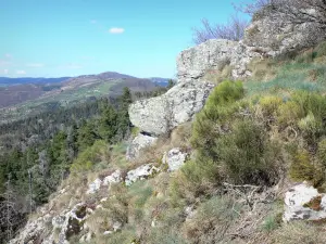 Ruinen des Schlosses von Rochebloine - Panorama vom Aussichtspunkt der Stätte Rochebloine aus