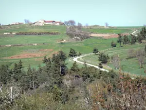 Ruinen des Schlosses von Rochebloine - Sicht auf einen Bauernhof umgeben von Wiesen, von der Stätte Rochebloine aus