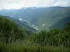 Ruta de las Crestas - De pastizales y árboles con vistas a un lago y las montañas boscosas (Parc Naturel Régional des Ballons des Vosges)