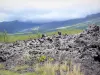 Ruta de las Lavas - Parque Nacional de La Reunión: flujo volcánico y la vegetación de Grand Brûlé